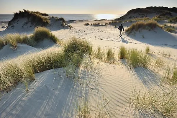 Beautiful Floor Seaview B'berge-bruges Lägenhet Blankenberge