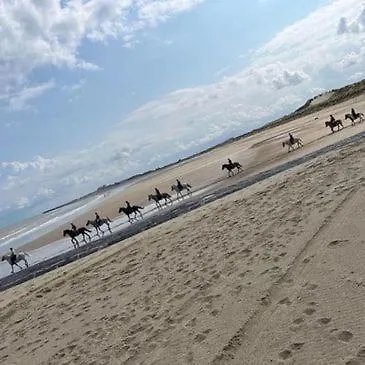 Beautiful Floor Seaview B'berge-bruges Blankenberge